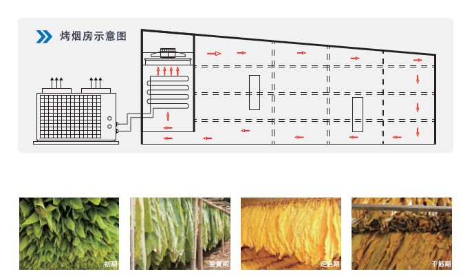 烟叶热泵烘干机
