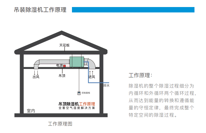 超薄吊顶除湿机DY-C20DZ/A